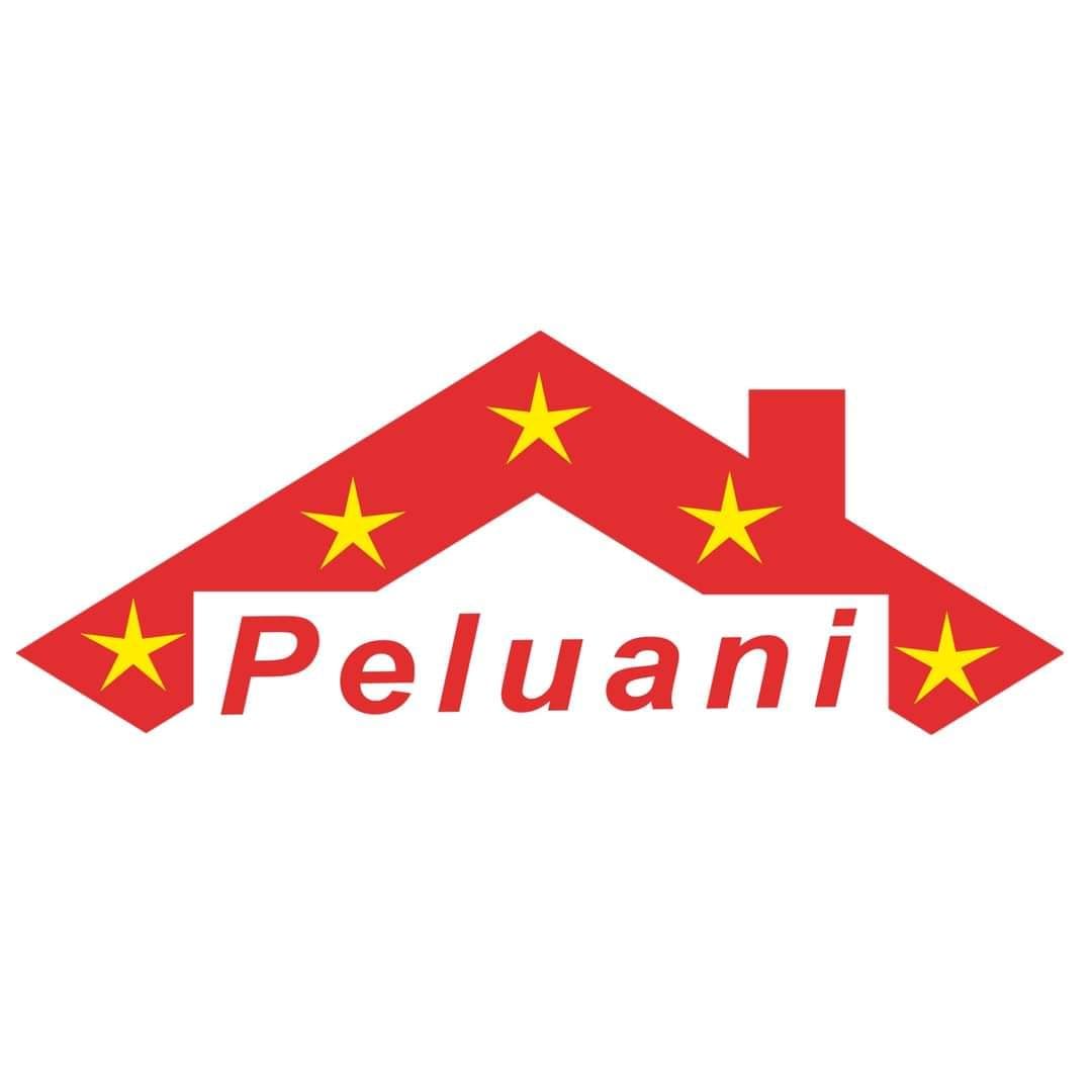 Logo de PELUANI  S.L
