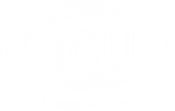 Logo de IGU Energy